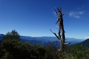 【南投】白姑大山～辣到快往生的單攻