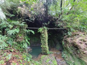 [新北平溪][一]青林山、畝畝山、盤山坑古道、火燒寮崙、高德坑山(上東勢格山)、高德坑山東南、玉桂嶺山、大湖、芊蓁坑、十分派出所