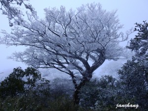 北插霧淞