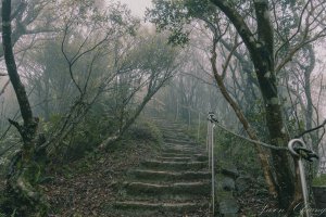 [新北]二格山