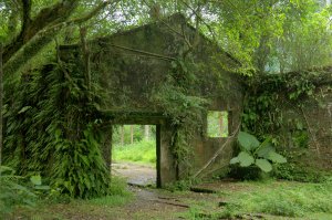 捨石山步道(菁桐煤礦紀念公園)