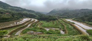 百年嵩山梯田&阡陌步道