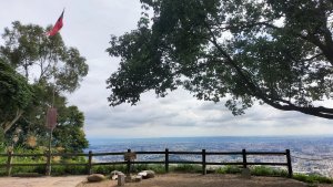 爬座小百岳(三汀山)來慶生，如何？