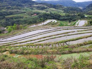 嵩山百年梯田，尖山湖步道，青山瀑布