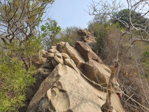 旗尾山步道（小百岳）