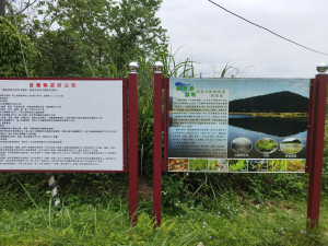 [宜蘭員山][三]三針後山登山口、三針後山、東三針後山、苦苓坑山(大湖山西北峰)、大湖庄山、貢仔子湖山