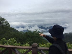 雪霸休閒農場&觀霧國家森林遊樂區