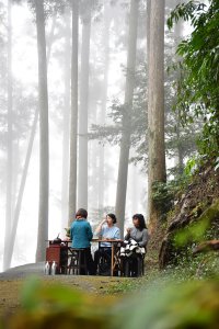 2026.02.07~02.08阿里山健行 & 阿里山石棹森林茶席(嘉義/登山/JRJ紀錄分享)：
