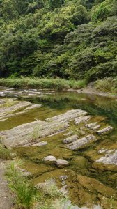 坪林逮魚堀溪步道（平堵橋到大林橋）