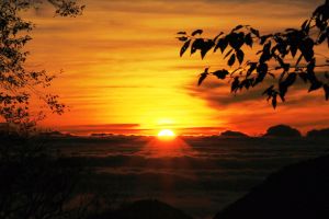 楓紅、雲海、夕陽一次滿足~稍來小雪山國家步道追楓行