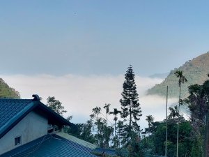嘉義竹崎大坑凌雲巖