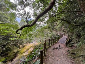 坐火車走馬胎古道＋南坪古道