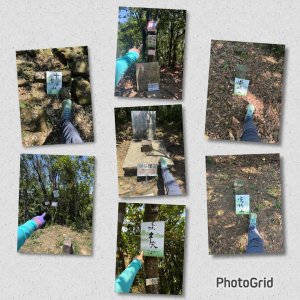 20250502 安坑七山