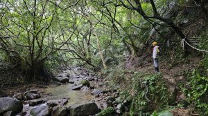 龍洞坑古道連走石梯坑，尋找永安祠與G董的阿公家古厝