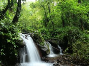 聖母登山步道