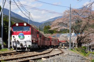 【新聞】2020搭乘阿里山林業鐵路 加遊大井川鐵路享好康