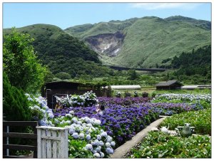  竹子湖/頂湖環狀步道