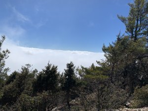 20240203南投西巒大山