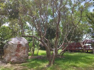 [台東大武][一]巴塱衛山、大鳥萬山、大武、南興