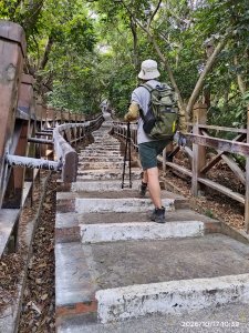 逍遙登山客的頭像