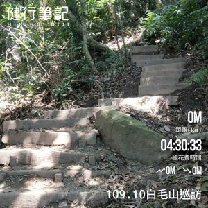 步道巡訪員 l 白毛山步道10月巡訪日誌