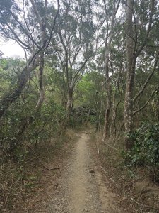 No.80小百岳-里龍山