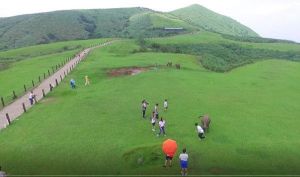 【新聞】珍惜陽明山國家公園擎天崗草原景觀 守護人牛共生的歷史記憶