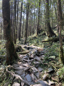 宜蘭松蘿湖一日單攻