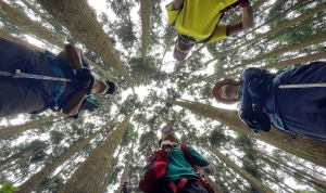 避暑勝地⛰️油羅山