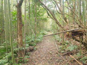 出關古道雲棟段順走龍船山下出礦坑