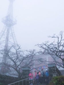2021阿里山櫻花季活動日期查詢