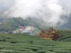 【嘉義】頂石棹步道、二延平步道