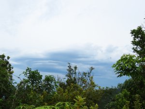 108/6/22薯榔尖步道漩渦雲