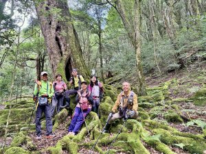 船型山神木悠遊    2025.09.22