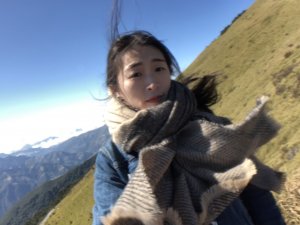 林