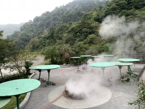 【溫泉步道小旅行】見晴懷古步道+台灣山毛櫸步道+鳩之澤溫泉