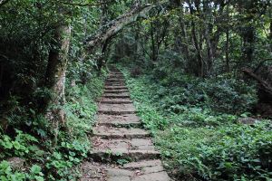 清天宮.面天山.向天山.向天池山.興福寮古道O型