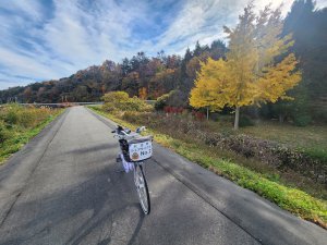 20251124福島核電廠最接近車站 大野駅與双葉駅