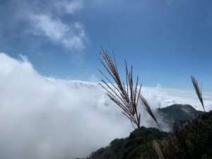 20191102加里山 季節限定雲海