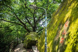 台北親山步道推薦｜5條捷運可達，下班也能爬的城市山岳