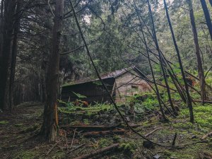 登山攝 #6 |  溯源而上、森林的浴缸、楠梓仙溪、楠溪工作站