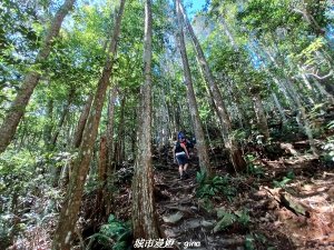 【台中和平】2022「谷關七雄，慢旅台中」登山活動認證。 沒有危崖攀爬就是一路陡。 谷關七雄~八仙山