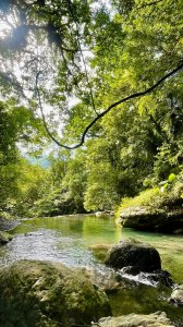 台灣版的亞馬遜  森林中的野溪秘境。烏來斯其野溪 溯溪、垂降。滑瀑。一次玩得過癮