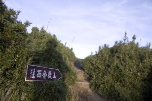2018.08.12合歡西峰