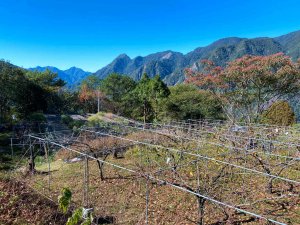 探訪在地里山農家