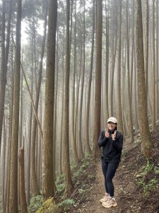 SO 五分熟的頭像