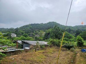 水聳淒坑山