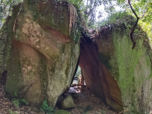 內湖區大丘田保甲路+開眼山+白石湖山+白石湖山東峰+大邱田山+消防山O型