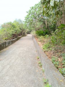 彰化百大必訪步道_挑水古道