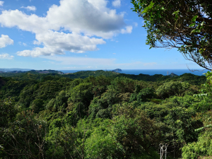瑞芳三山之秀岐山瑞芳山龍潭山